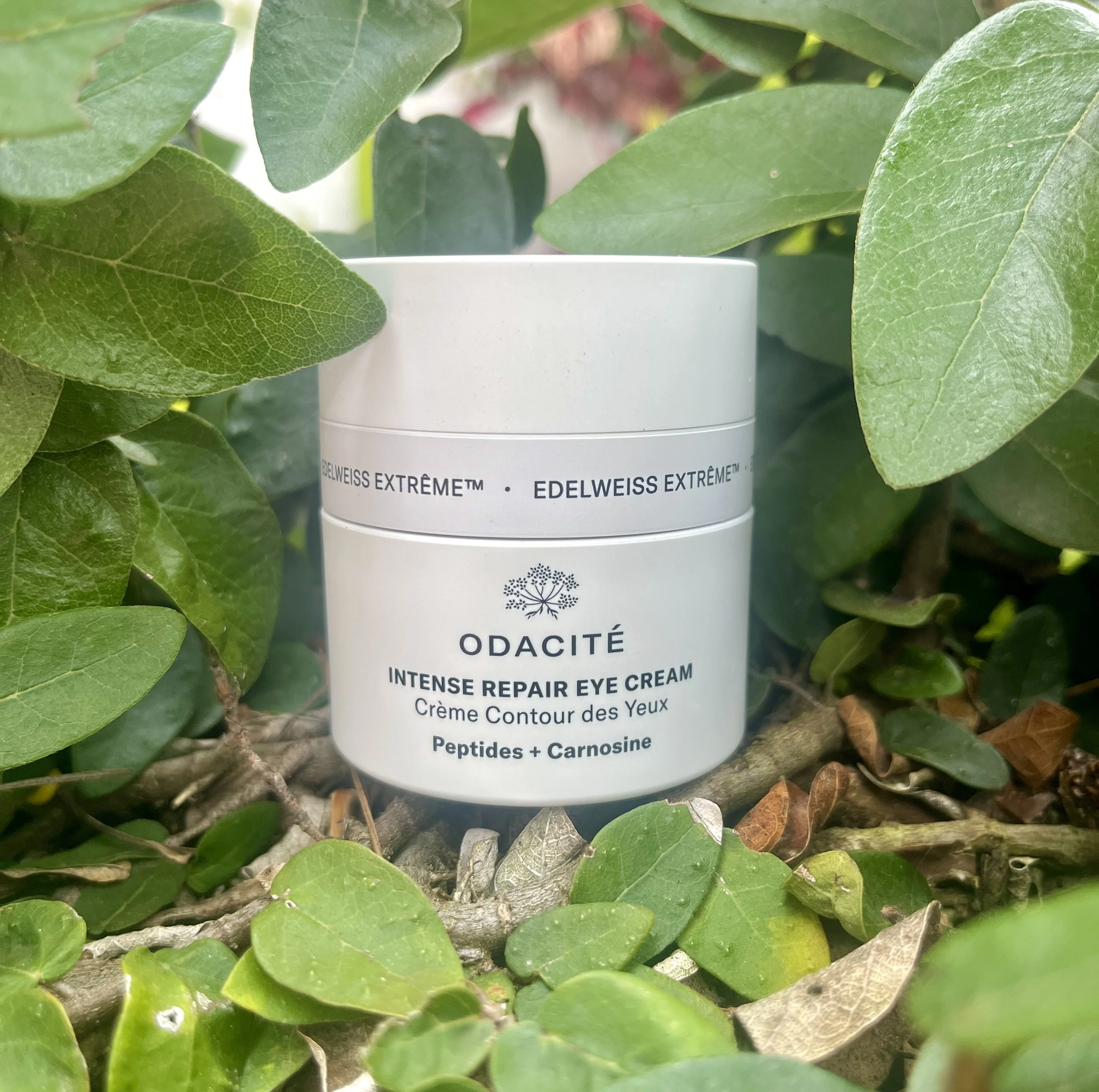 Intense Repair Eye Cream — COASTAL RADIANCE